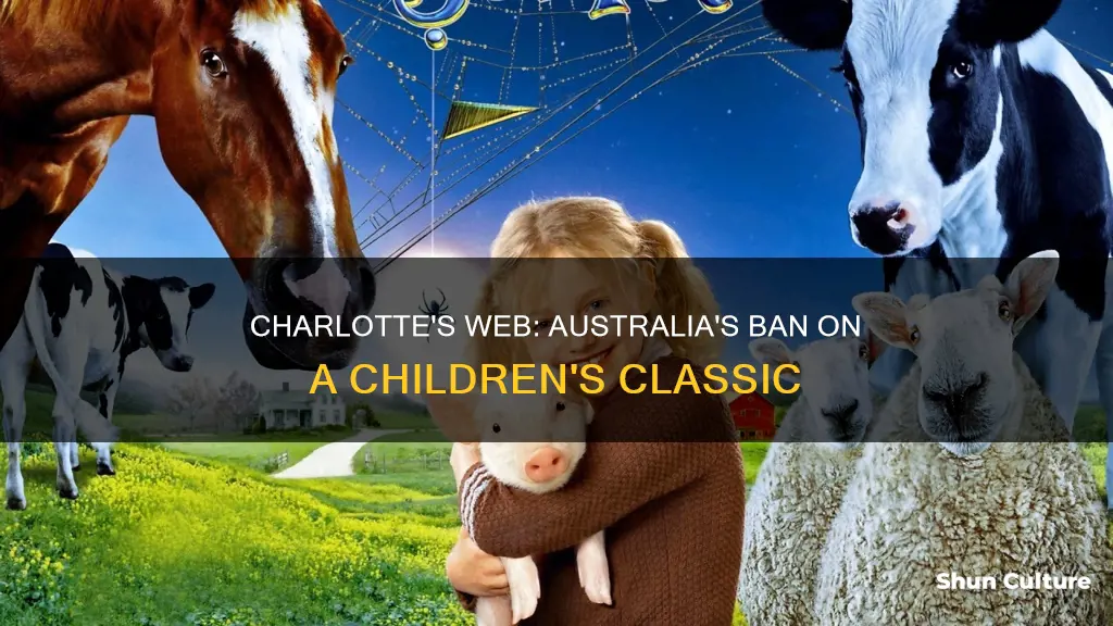 is charlotte