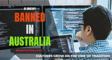 ChatGPT: Banned Down Under?