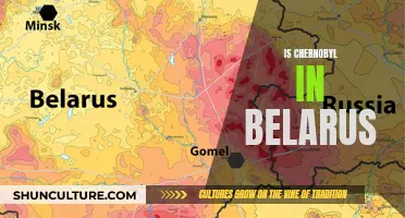 Chernobyl's Geographical Conundrum: Belarus or Ukraine?