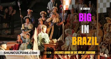 Chess in Brazil: Exploring Its Popularity and Cultural Impact