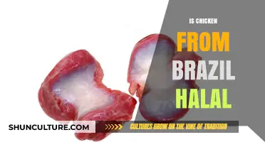 Is Brazilian Chicken Halal? Exploring Certification and Practices