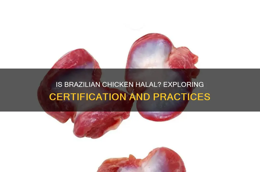 is chicken from brazil halal