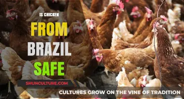Is Brazilian Chicken Safe? Uncovering the Truth About Imports