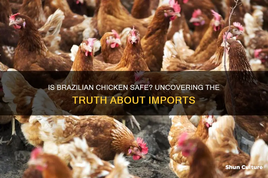 is chicken from brazil safe