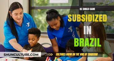 Brazil's Child Care Subsidies: Understanding Government Support for Families