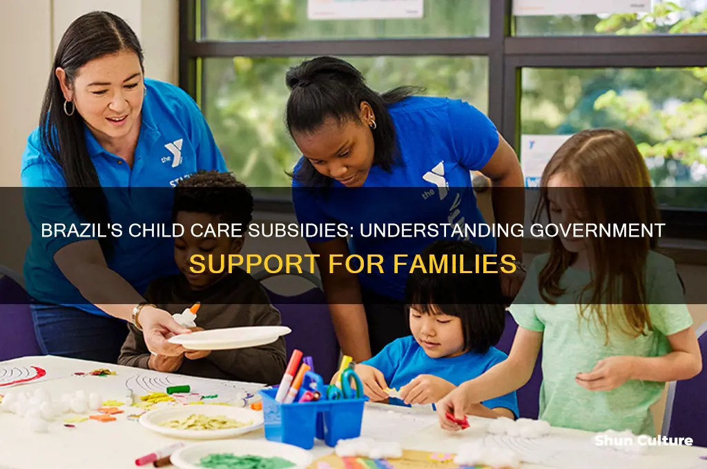 is child care subsidized in brazil