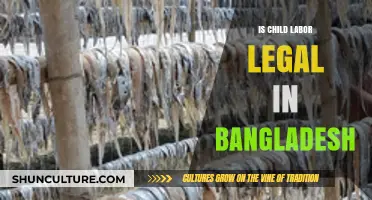Is Child Labor Legal in Bangladesh? Exploring Laws and Realities