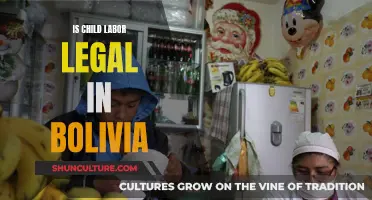 Child Labor in Bolivia: Is It Legal?