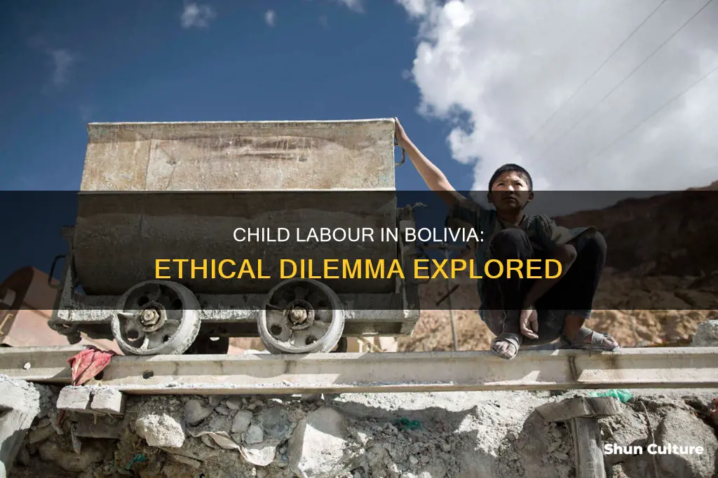 is child labour always wrong the view from bolivia-podcast transcript