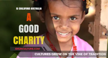 ChildFund Australia: A Charity Worth Supporting?