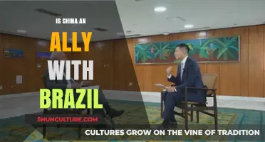 China-Brazil Relations: Strategic Partnership or Global Alliance?