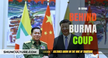 Unraveling the Geopolitical Puzzle: China's Alleged Role in Burma's Coup