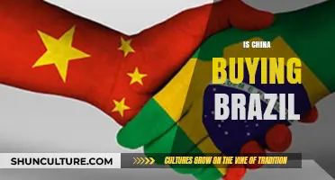 China's Growing Influence: Is Brazil Becoming a Strategic Partner?