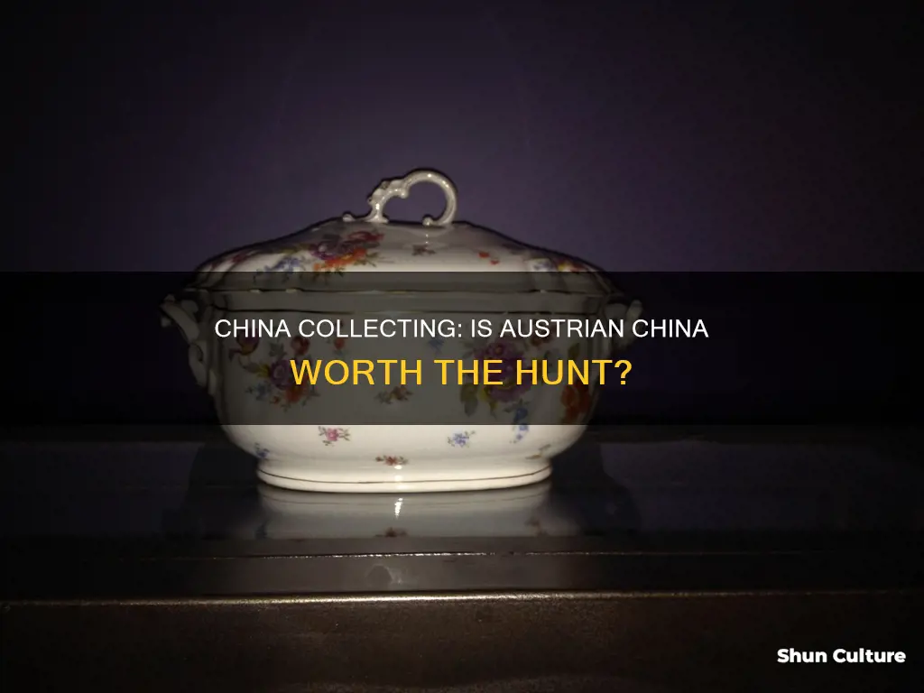 is china from austria worth collecting