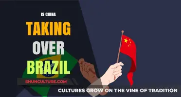 China's Growing Influence: Is Brazil Becoming a Strategic Partner?