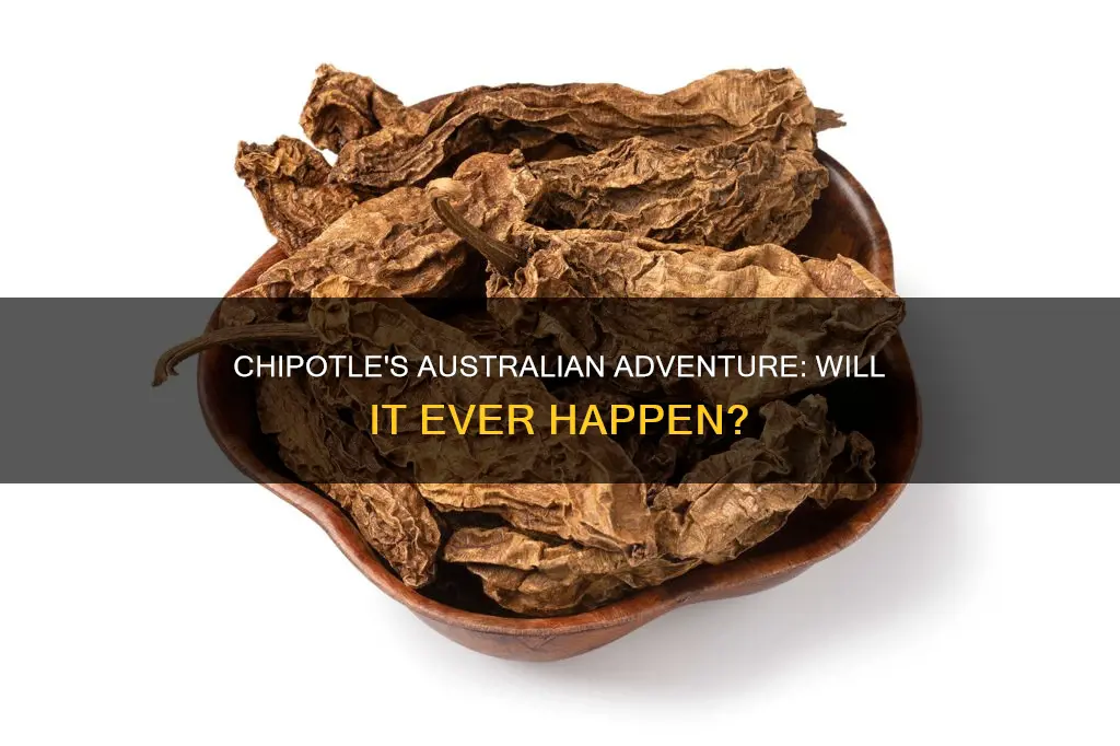 is chipotle coming to australia