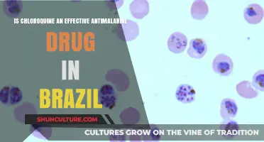 Chloroquine's Efficacy as an Antimalarial Treatment in Brazil: A Review