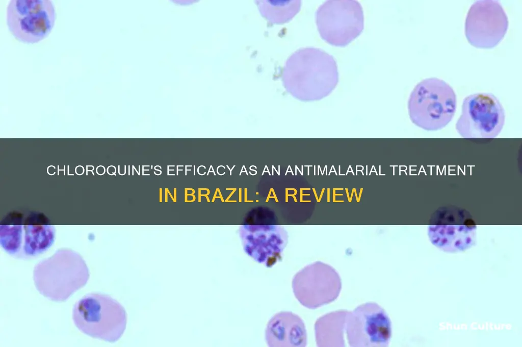 is chloroquine an effective antimalarial drug in brazil