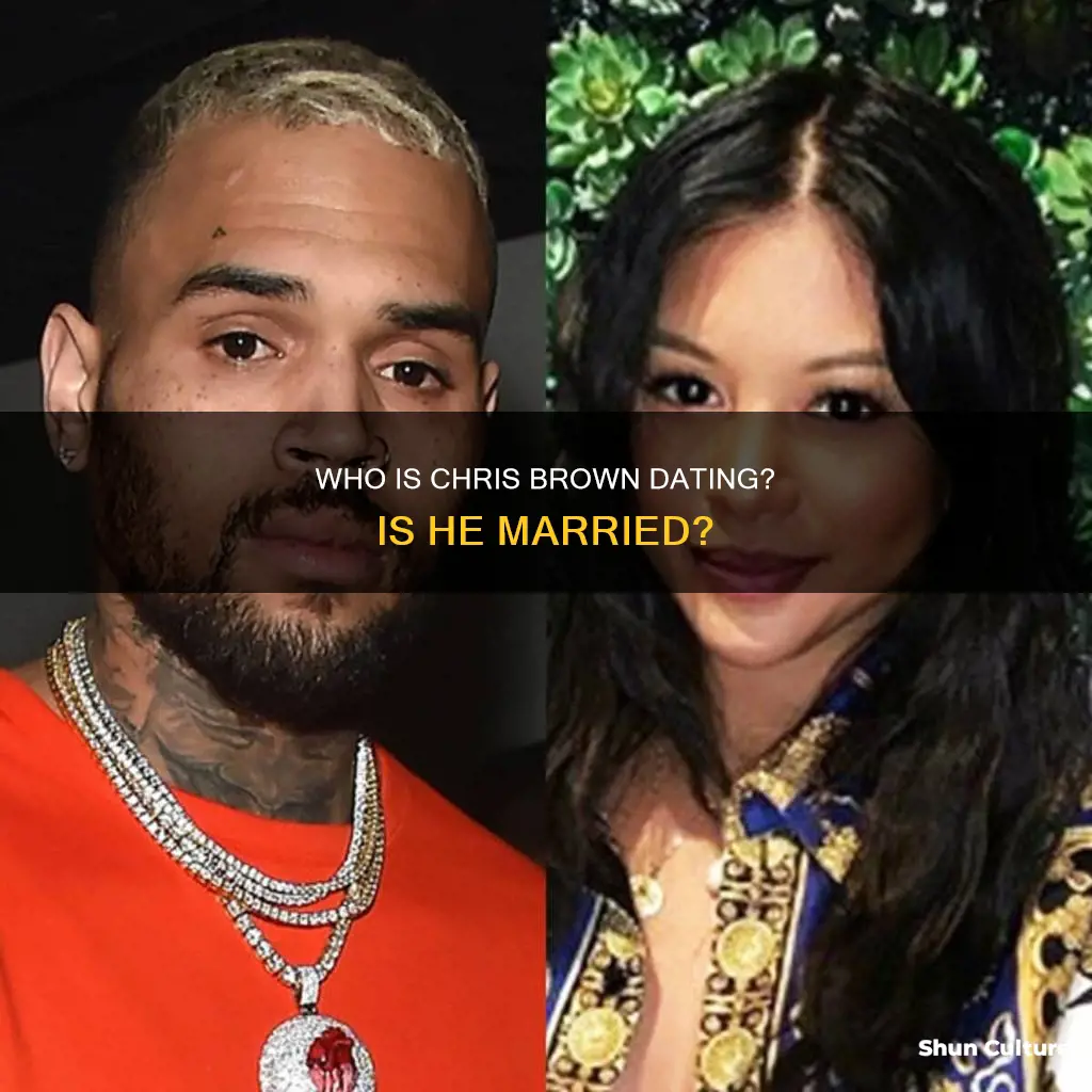 is chris the animal vet from australia married