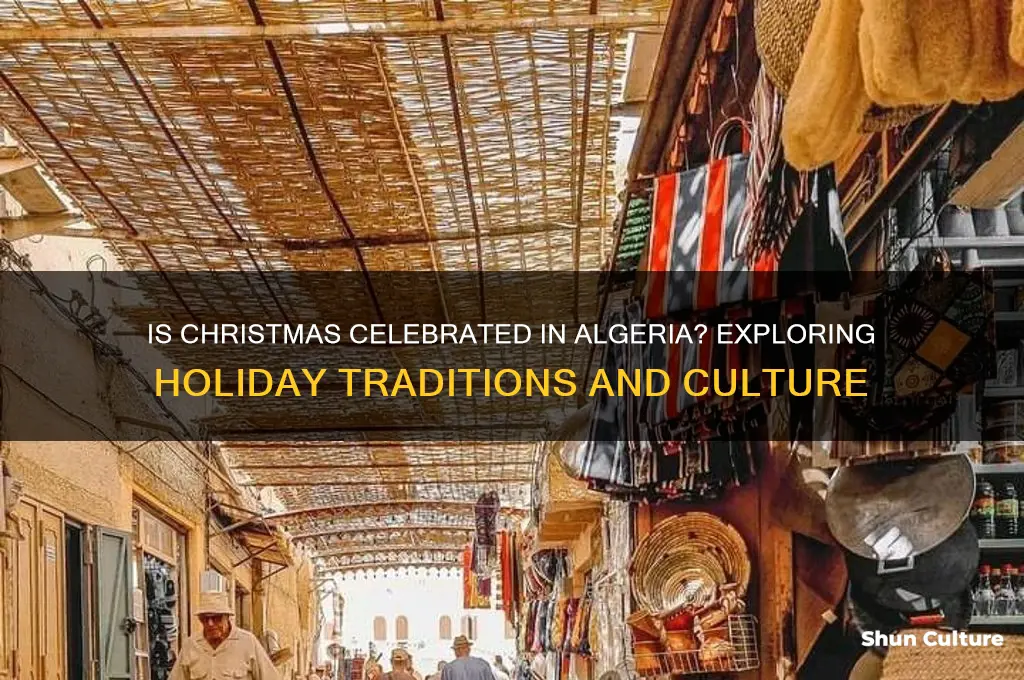 is christmas celebrated in algeria