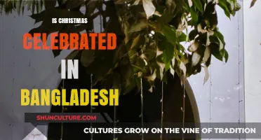 Christmas in Bangladesh: A Cultural Celebration of Unity and Diversity