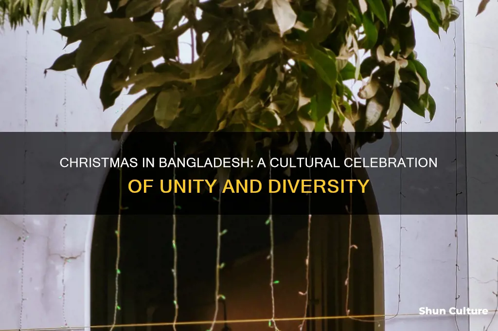 is christmas celebrated in bangladesh