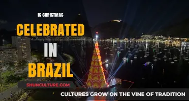 Christmas in Brazil: Traditions, Celebrations, and Unique Cultural Flavors