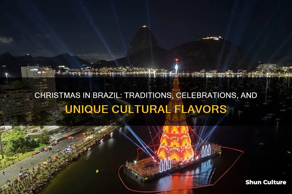 is christmas celebrated in brazil