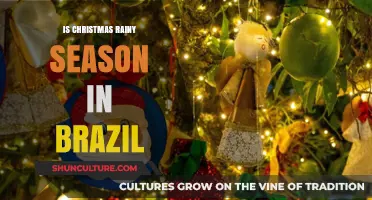 Does Brazil Celebrate Christmas in the Rainy Season?