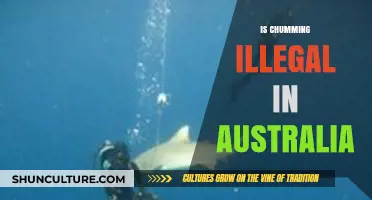 Chumming in Australia: Legal or Not?