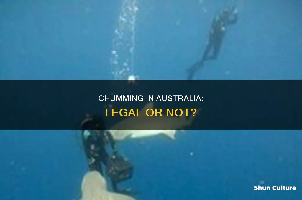 is chumming illegal in australia