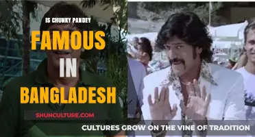 Is Chunky Pandey a Household Name in Bangladesh? Exploring His Fame
