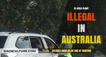 Coca Plant Legality in Australia: What's the Verdict?