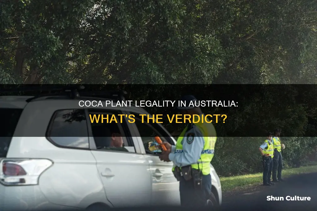 is coca plant illegal in australia