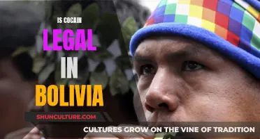 Cocaine in Bolivia: A Legal Loophole?