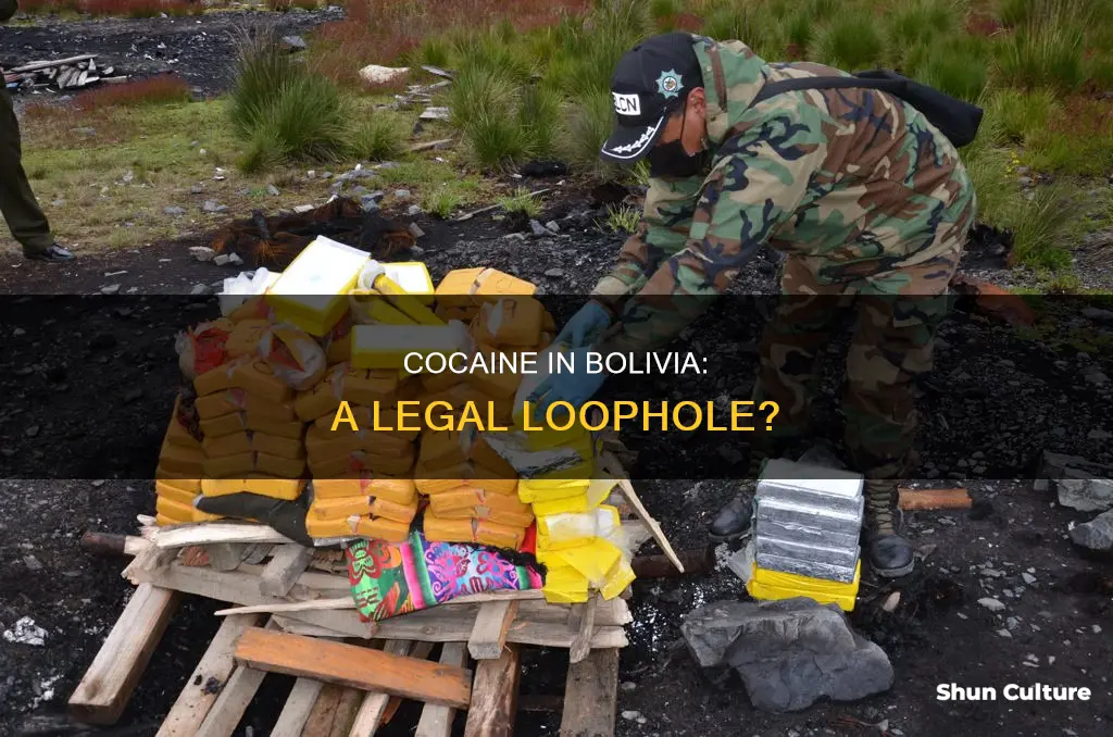 is cocain legal in bolivia