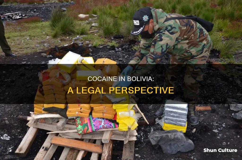 is cocaine legal in bolivia