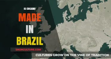 Cocaine Production in Brazil: Uncovering the Truth Behind the Trade
