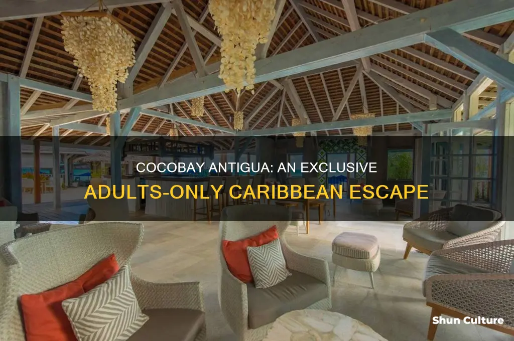 is cocobay antigua for adults only