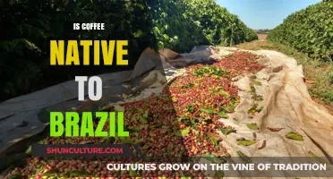 Is Coffee Native to Brazil? Unraveling the Origins of a Global Favorite