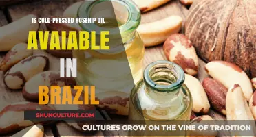 Cold-Pressed Rosehip Oil in Brazil: Availability and Where to Find It