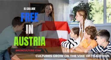 Austria's Free College Education: What's the Catch?