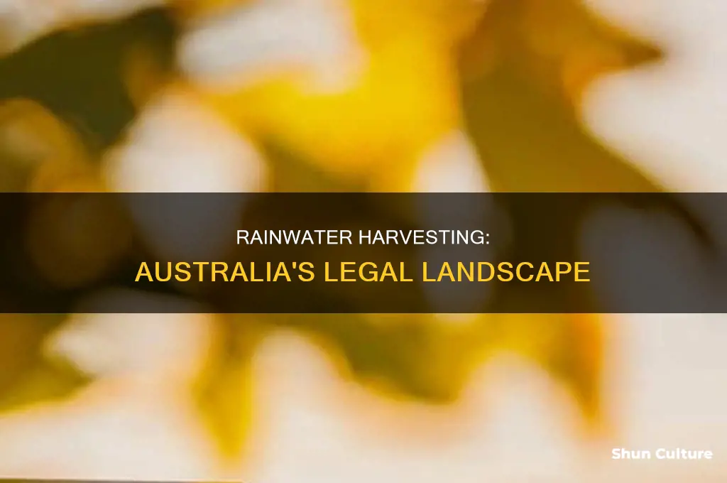 is collecting rainwater illegal in australia