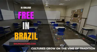 Is College Free in Brazil? Exploring Higher Education Costs and Access