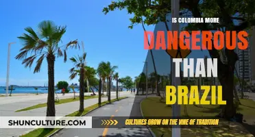 Colombia vs. Brazil: Comparing Safety Records and Crime Statistics