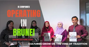 Brunei's Business Climate: Companies Operating Within