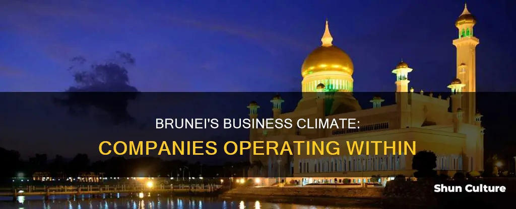 is companies operating in brunei