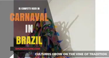 Confetti in Brazil's Carnival: Tradition, Celebration, or Modern Addition?