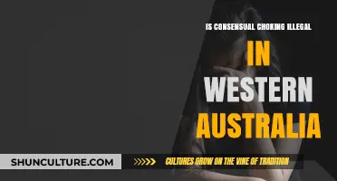 Choking and the Law: What's the Verdict in Western Australia?