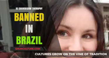Is Conversion Therapy Banned in Brazil? Legal Status Explained